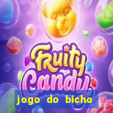 jogo do bicho feira de santana